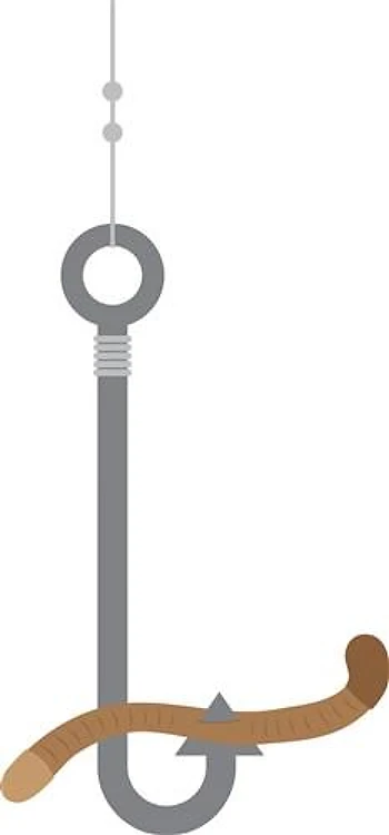 Worm on Hook
