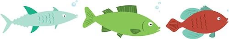 Fish Border