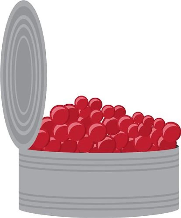 Salmon Eggs