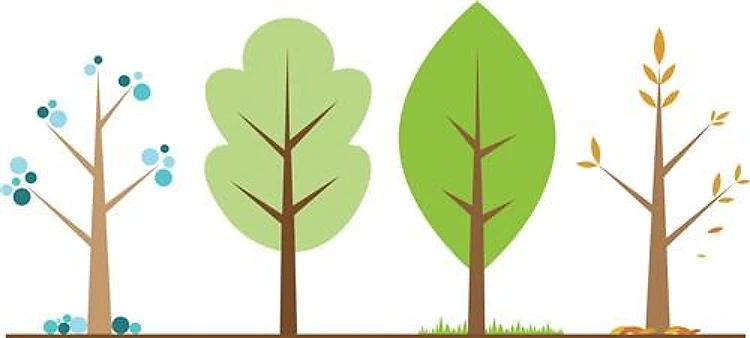 Tree Border
