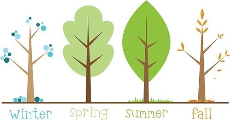 Tree Seasons