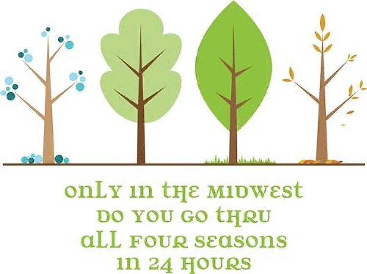 In the Midwest