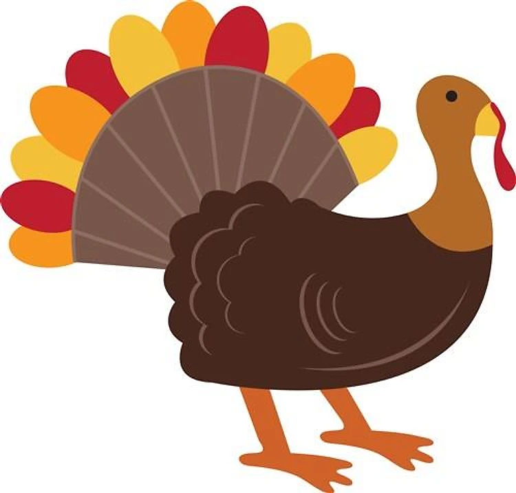 Thanksgiving Turkey