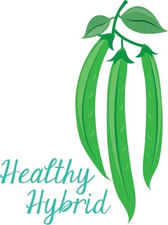 Healthy Hybrid