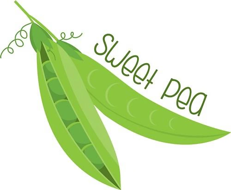 Sweet Pea