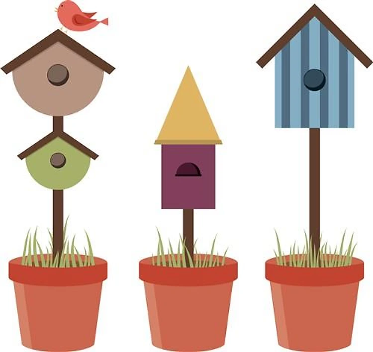 Bird House Garden