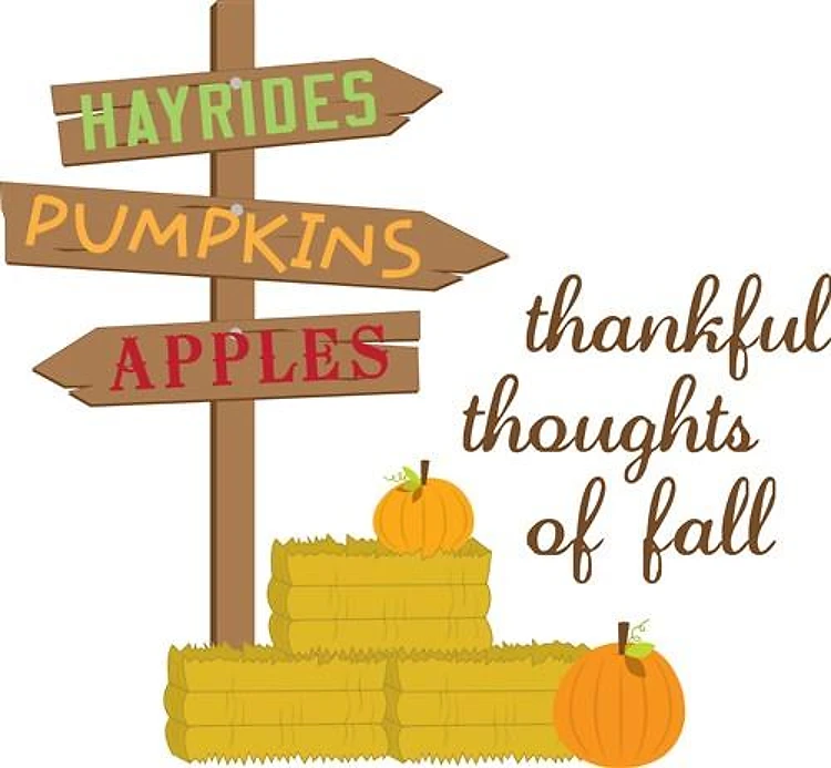 Thankful Thoughts