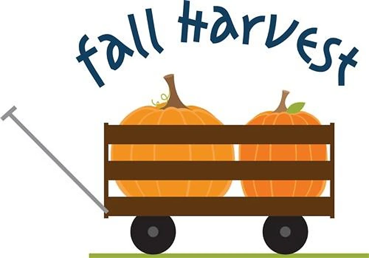Fall Harvest