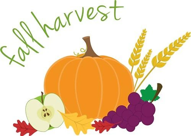 Fall Harvest Pumpkin