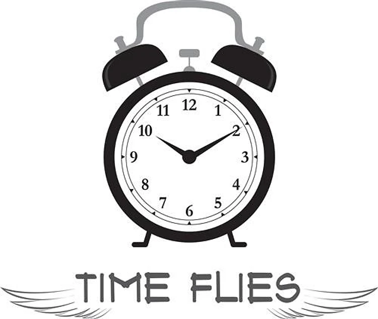 Time Flies
