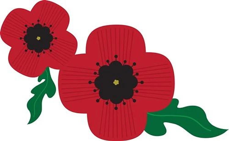 Veterans Poppies