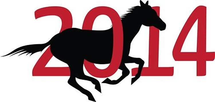 2014 Horse