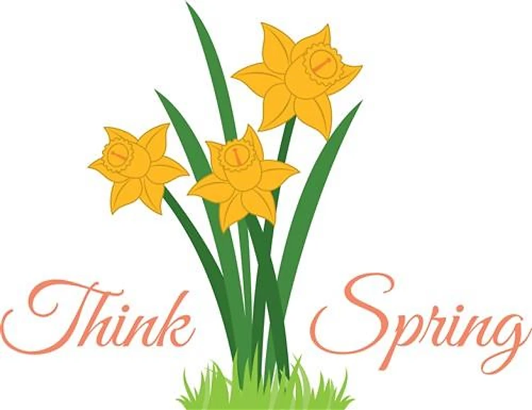 Think Spring