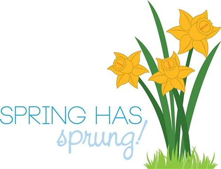 Spring Has Sprung