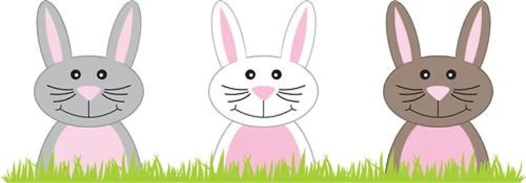 Bunny Border