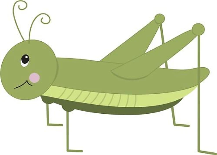 Green Grasshopper