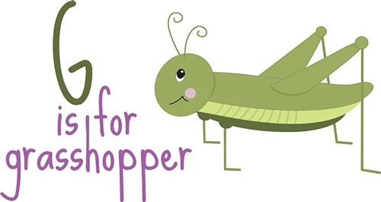 G for Grasshopper