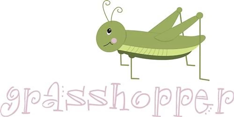 Grasshopper
