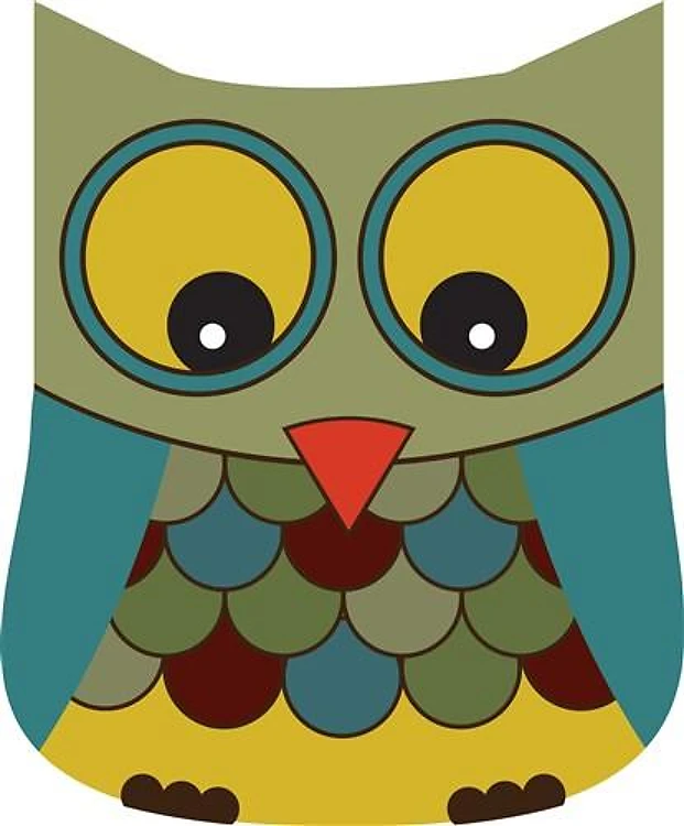 Colorful Owl