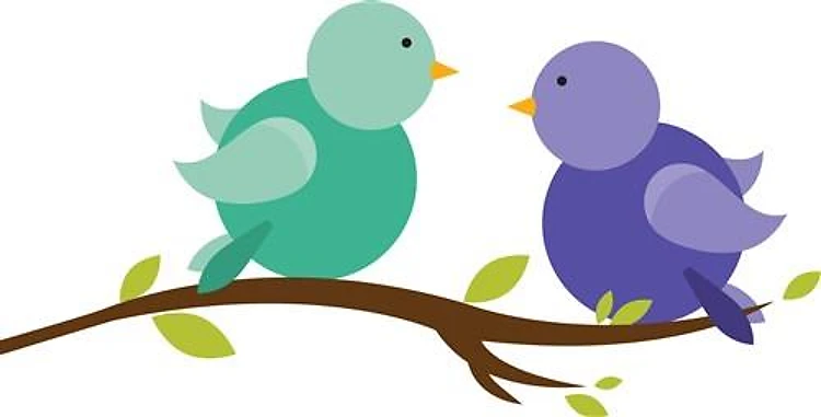 Two Birds