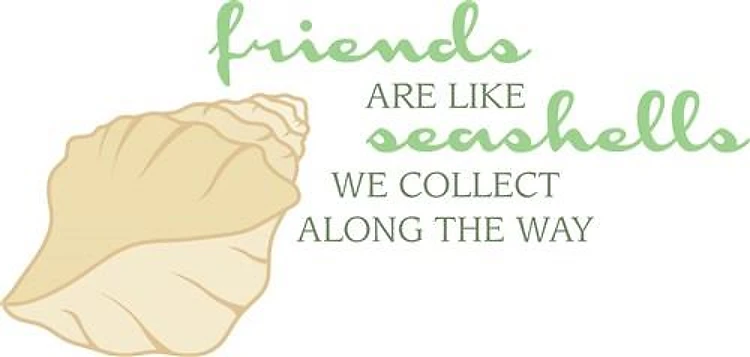 Friends Like Seashells