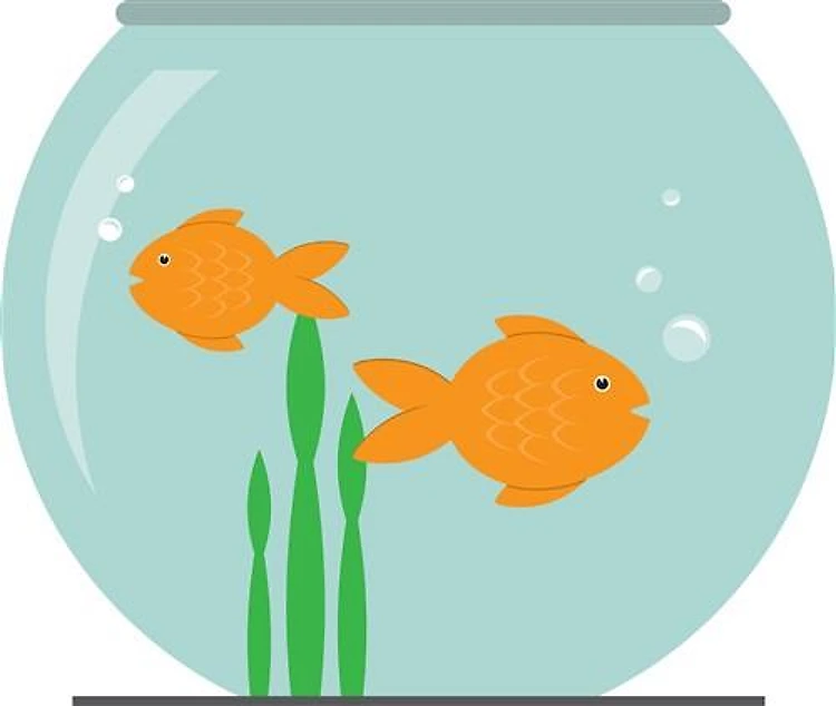 Fish Bowl