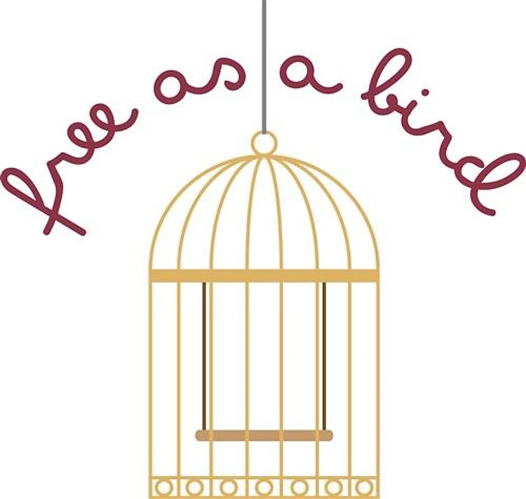 Free As A Bird