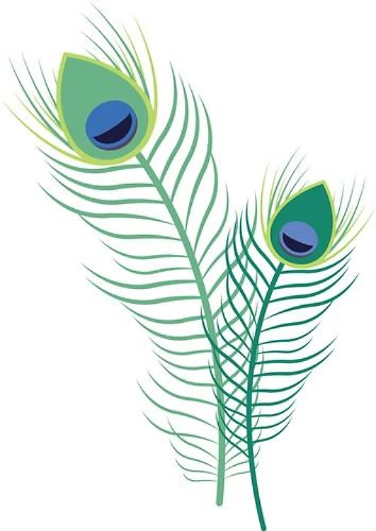 Peacock Feathers