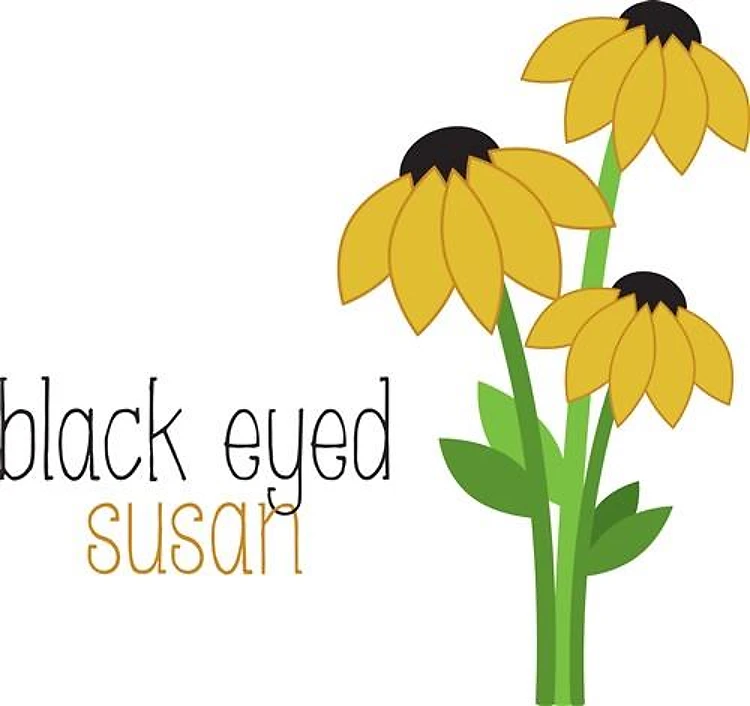 Black Eyed Susan