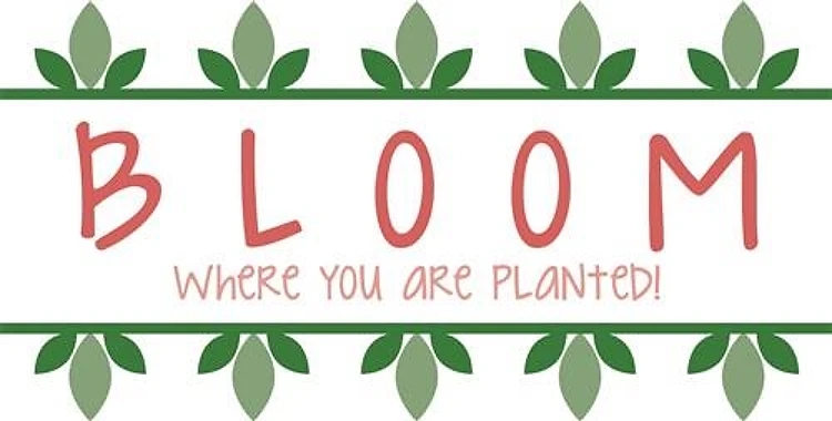 Bloom Time