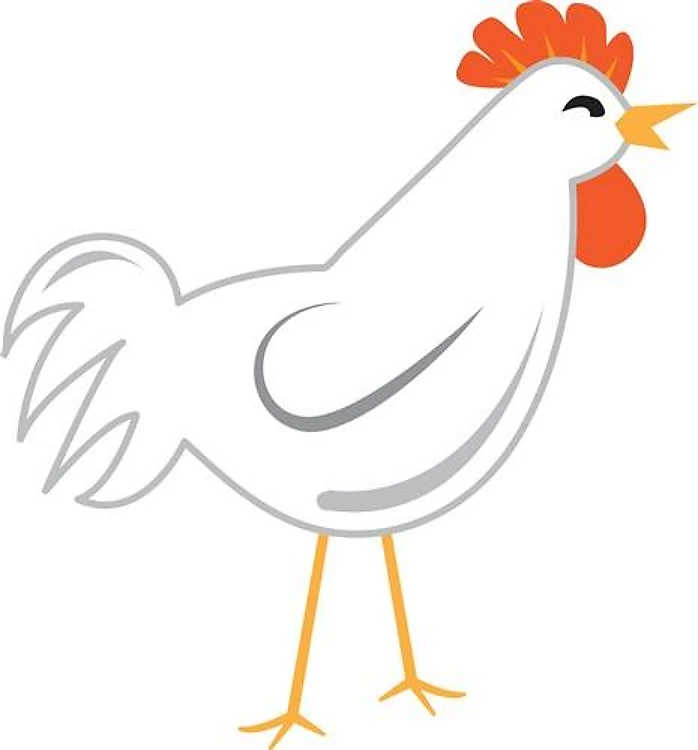 Rooster