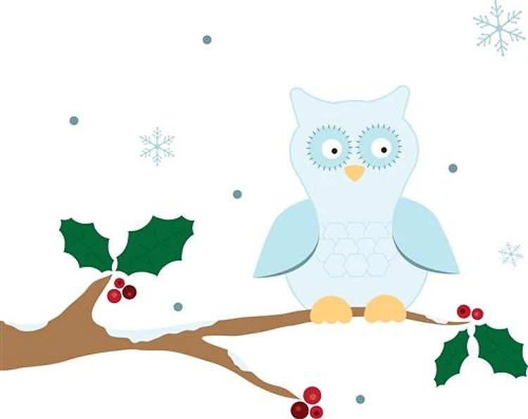 Winter Owl