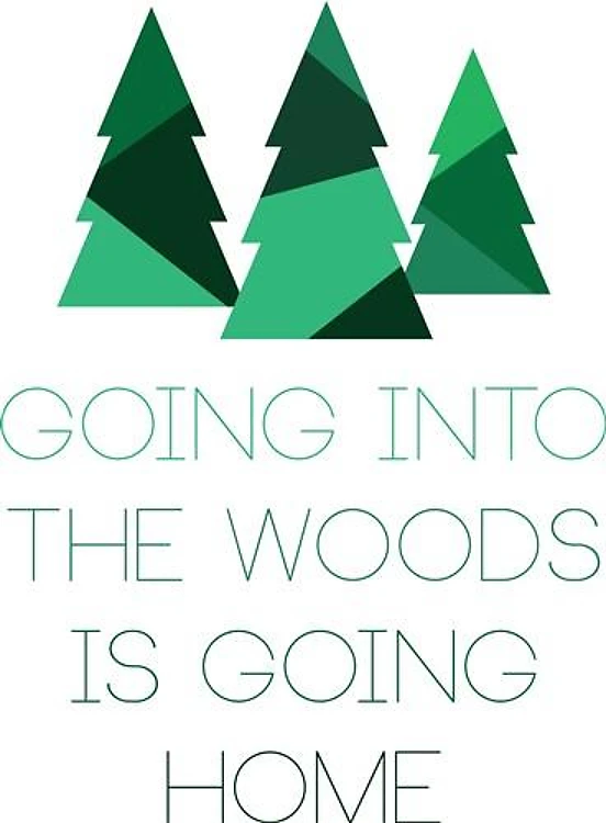 Into The Woods