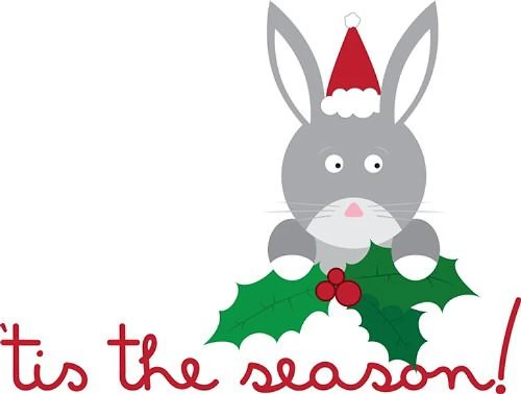 Tis The Season