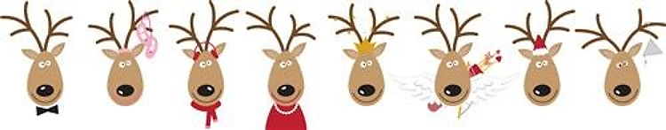 Reindeer
