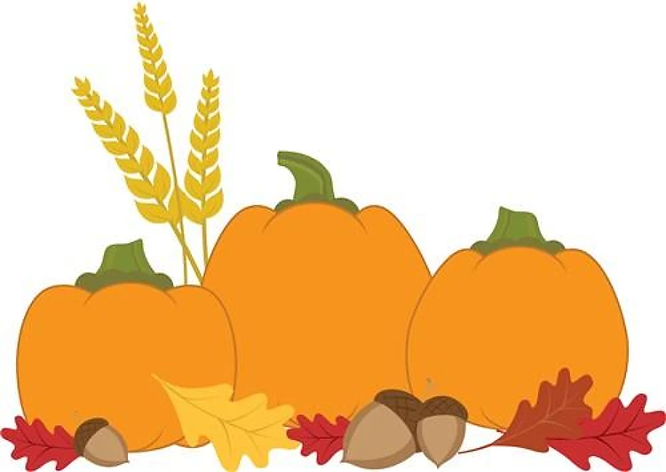 Fall Pumpkins
