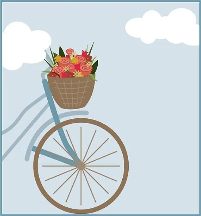 Bicycle Flower Basket