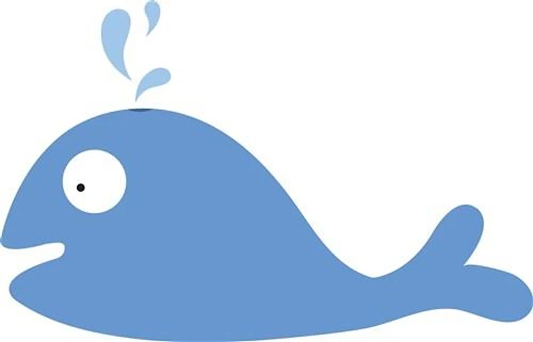 Blue Whale