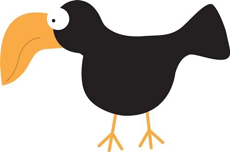 Toucan
