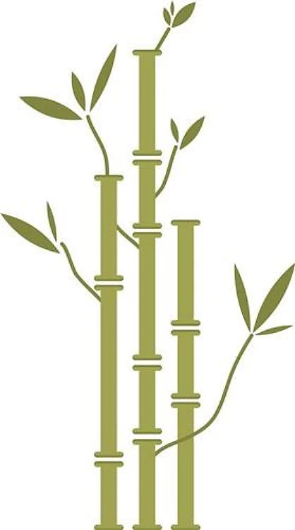 Bamboo