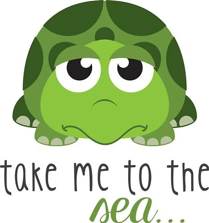 Green Sea Turtle