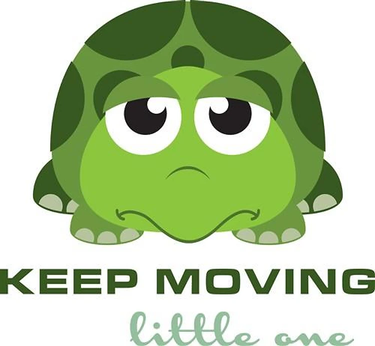 Keeping Moving Turtle