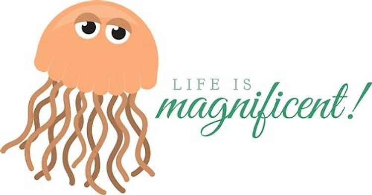 Jelly Fish Loves Life