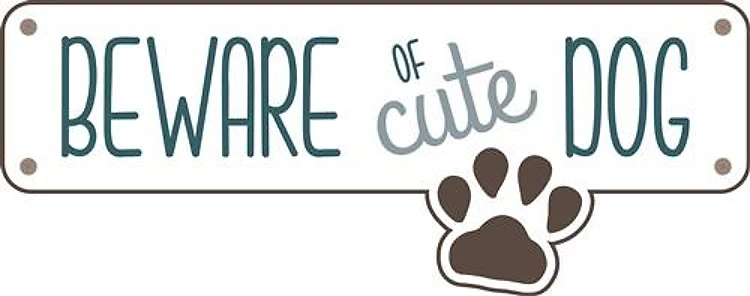 Beware Of Cute Dog