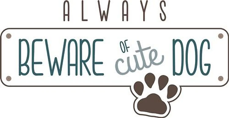 Beware Of Cute Dog