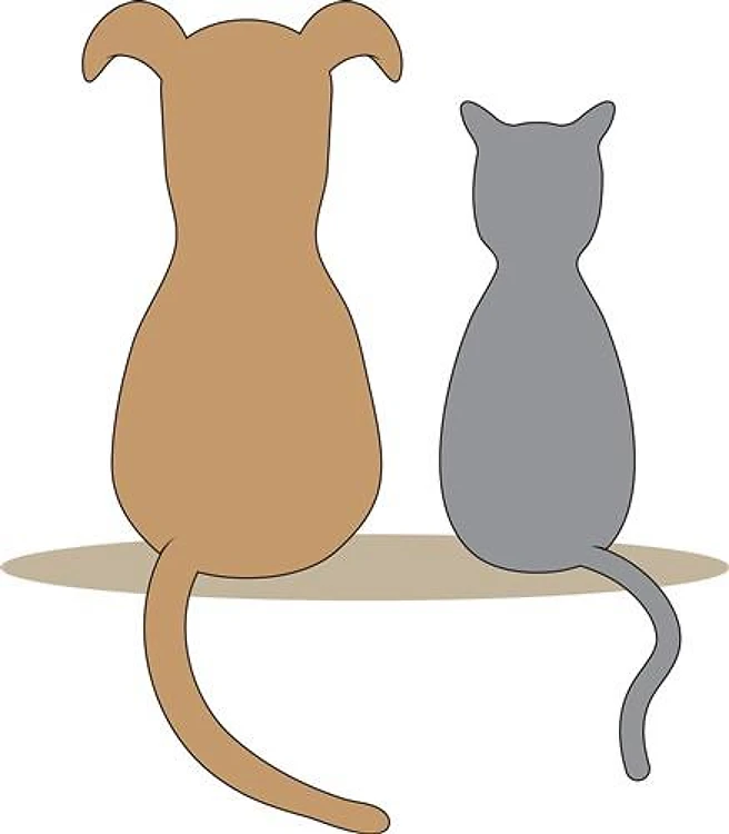 Dog & Cat