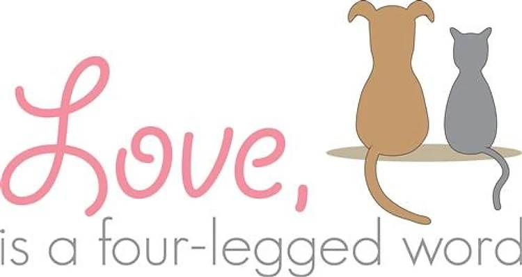 Love Animals