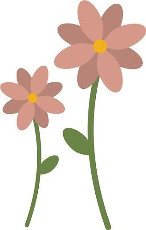 Two Flowers
