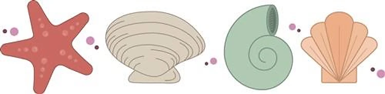 Sea Shells