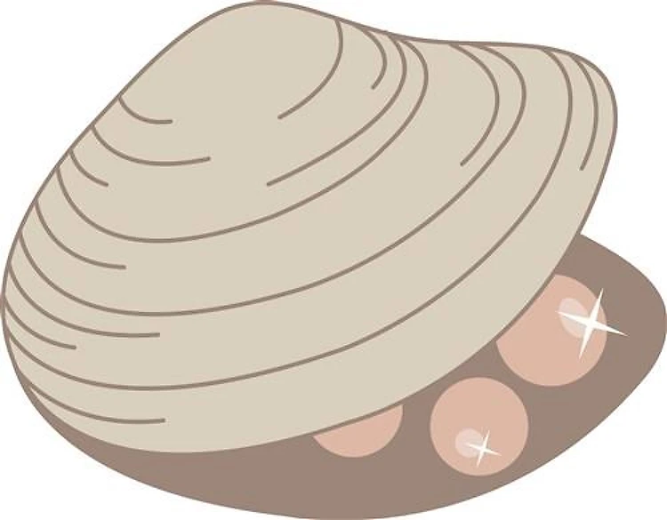 Oyster Pearls
